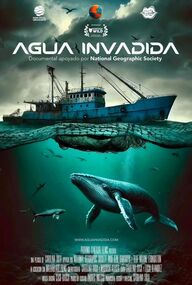 Agua invadida