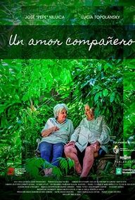 Un amor compañero