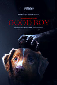 Good Boy