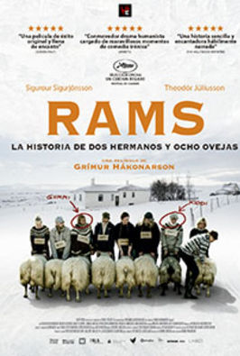 Rams: la historia de dos hermanos y ocho ovejas