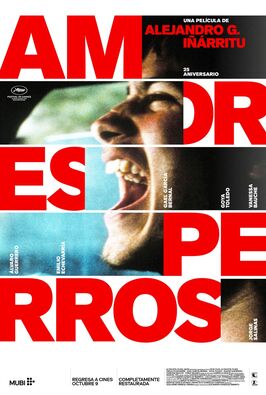 Amores perros - 25 aniversario