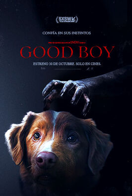Good Boy