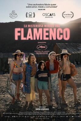 La misteriosa mirada del flamenco