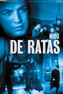 Nido de ratas