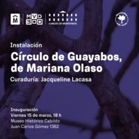 Círculo de Guayabos