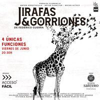 Jirafas & Gorriones