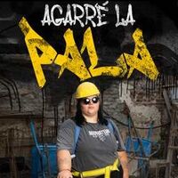 Agarré la pala