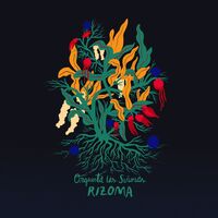 Ciclo Rizoma