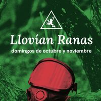 Llovían ranas