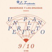 Mandrake y los Druidas - Un Plan Perfecto