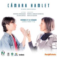 Cámara Hamlet