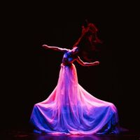 Festival Internacional de Circo: Velar la noche