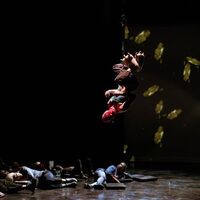 Festival Internacional de Circo: De la memoria a la telepatía