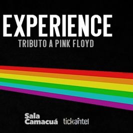 Pink Floyd Experience