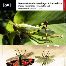 Damaso Antonio Larrañaga: el Naturalista