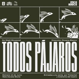 Todos pájaros