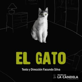 El gato