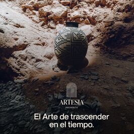 Artesia en el MAPI