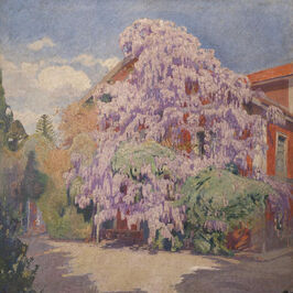 Paisajes. Evocación y realidad