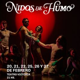 Nidos de humo