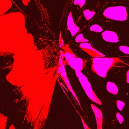 Orquesta Sinfónica Nacional del SODRE