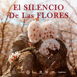 El silencio de las flores