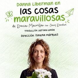 Las cosas maravillosas