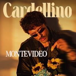Cardellino