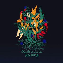 Ciclo Rizoma