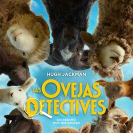 Las ovejas detectives