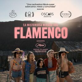 La misteriosa mirada del flamenco