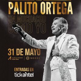 Palito Ortega: Un muchacho como yo